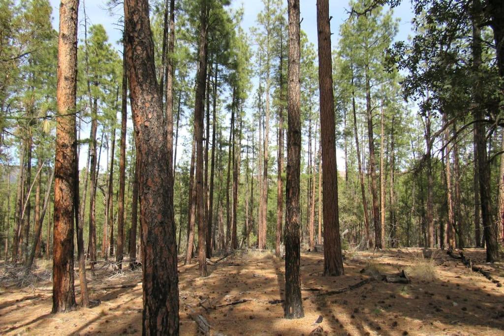Forest Cabin 3 Bear'S Den Payson Luaran gambar